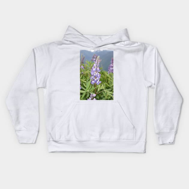 Broadleaf lupine (Lupinus latifolius) Kids Hoodie by SDym Photography